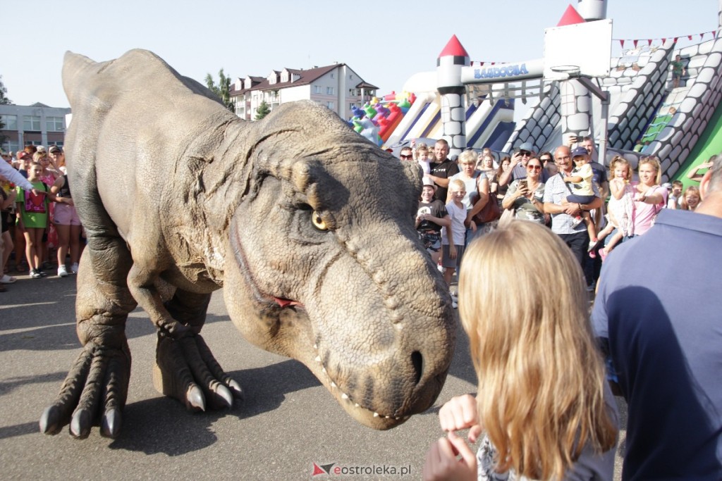 Festyn z Radą Osiedla Centrum. Dinozaur Reksio wszystkich zachwycił - zdjęcie #11
